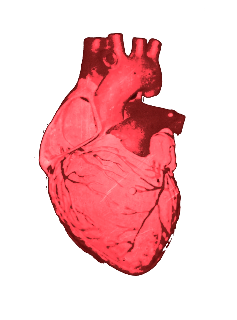 heart-bio1bpsd